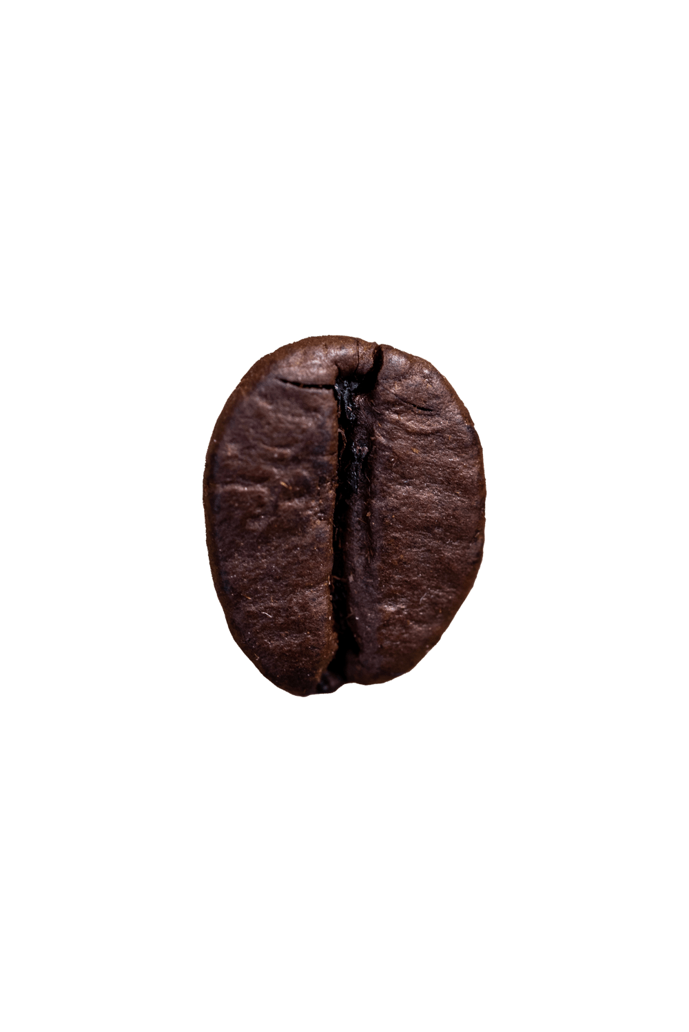 zrnko kávy